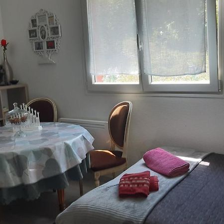 Ravissant Studio Dans Un Cadre Agreable Soultz-Haut-Rhin ภายนอก รูปภาพ