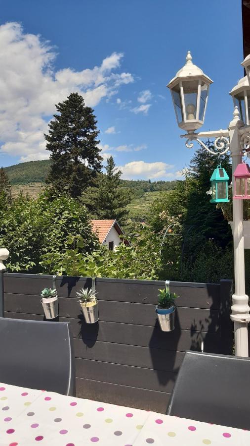 Ravissant Studio Dans Un Cadre Agreable Soultz-Haut-Rhin ภายนอก รูปภาพ