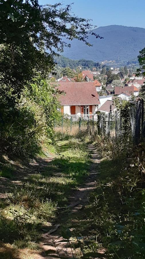 Ravissant Studio Dans Un Cadre Agreable Soultz-Haut-Rhin ภายนอก รูปภาพ